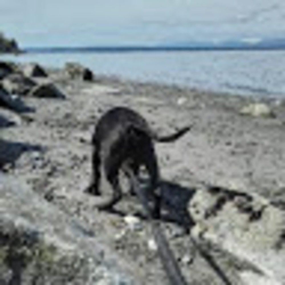 Meet your Posher, Park